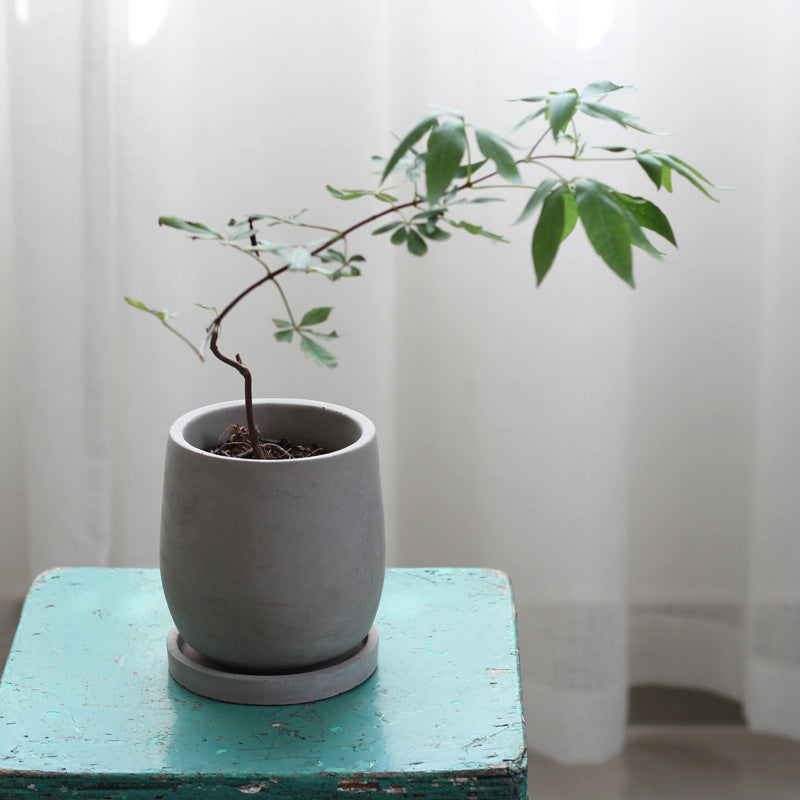 The Oslo | Minimalist Concrete Planter
