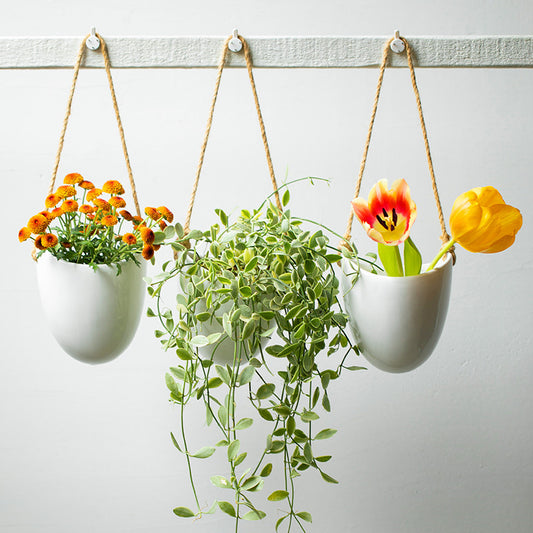 The Luna | Minimalist Wall Planter