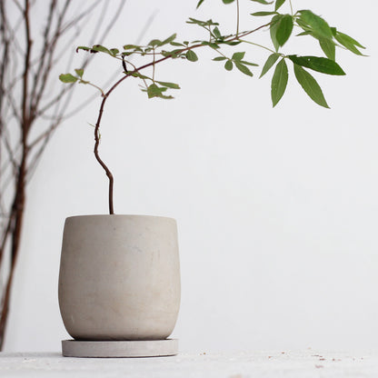The Oslo | Minimalist Concrete Planter
